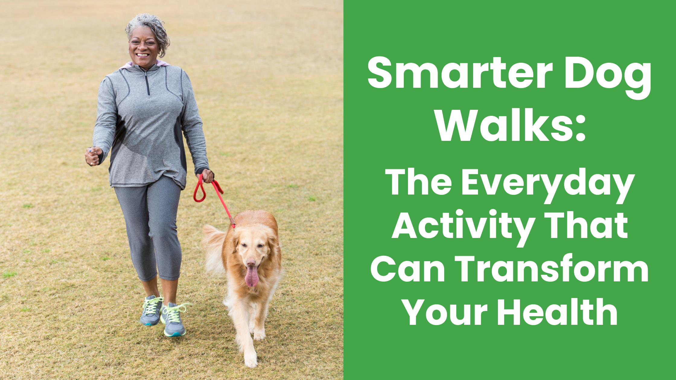 WalkActive Website blog header (1)