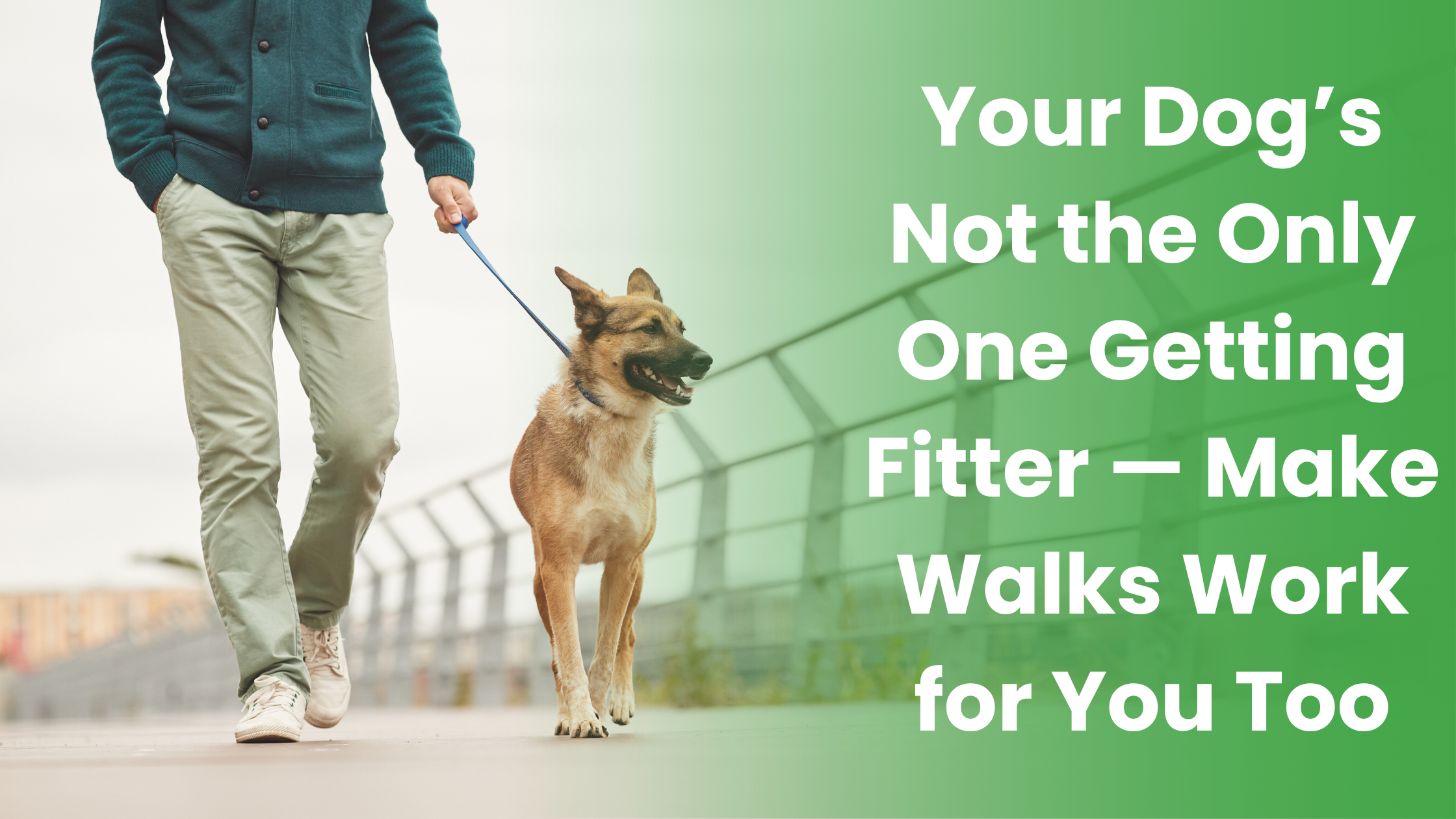 WalkActive Website blog header (3)
